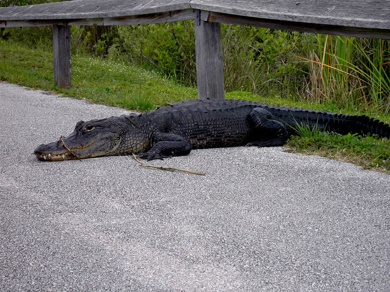 most-beautiful-national-parks-in-the-us-