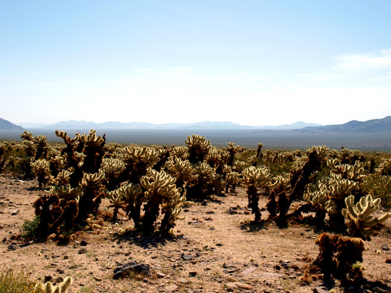 most-beautiful-national-parks-in-the-us-